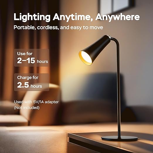 1747051484_black lamp4